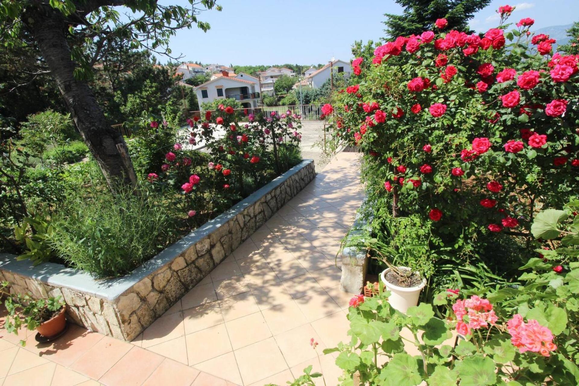 Apartments Dragica Šilo Extérieur photo
